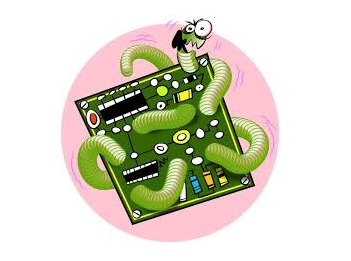 Worm چیست؟
