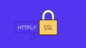 گواهینامه SSL چیست و چه ویژگی هایی دارد ؟