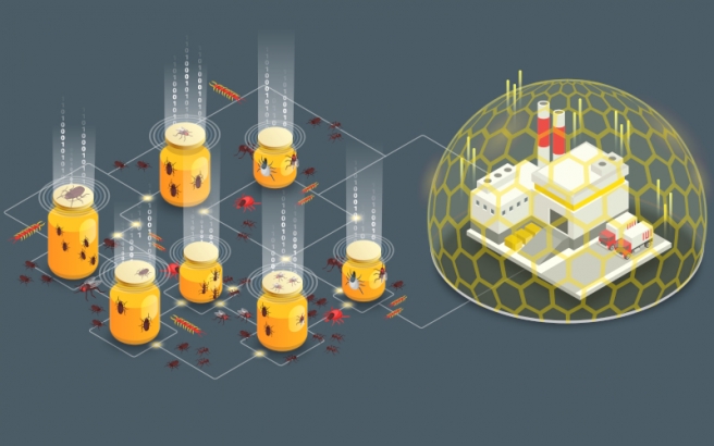 هانی پات (honeypot) چیست؟